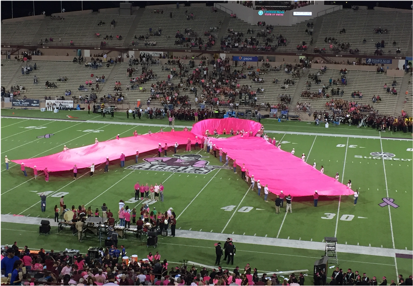 People on a football field forming a large pink ribbon.