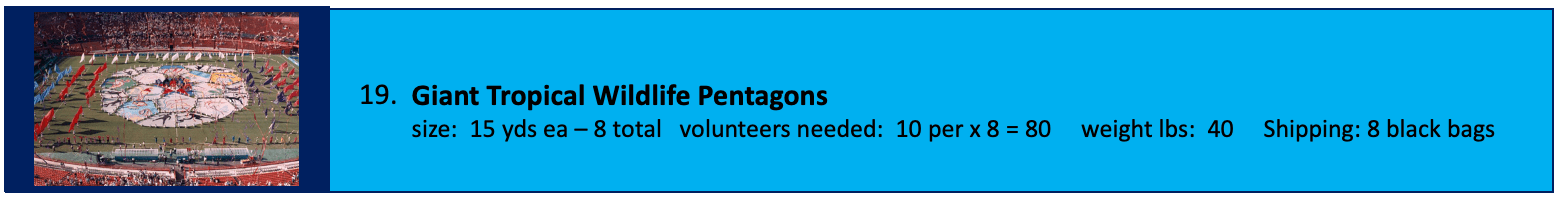 Blue recruitment poster for Pentagon volunteers.